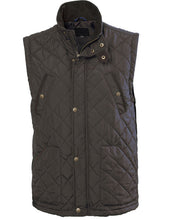 Afbeelding in Gallery-weergave laden, Conner, gewatteerd gilet voor heren (3033)